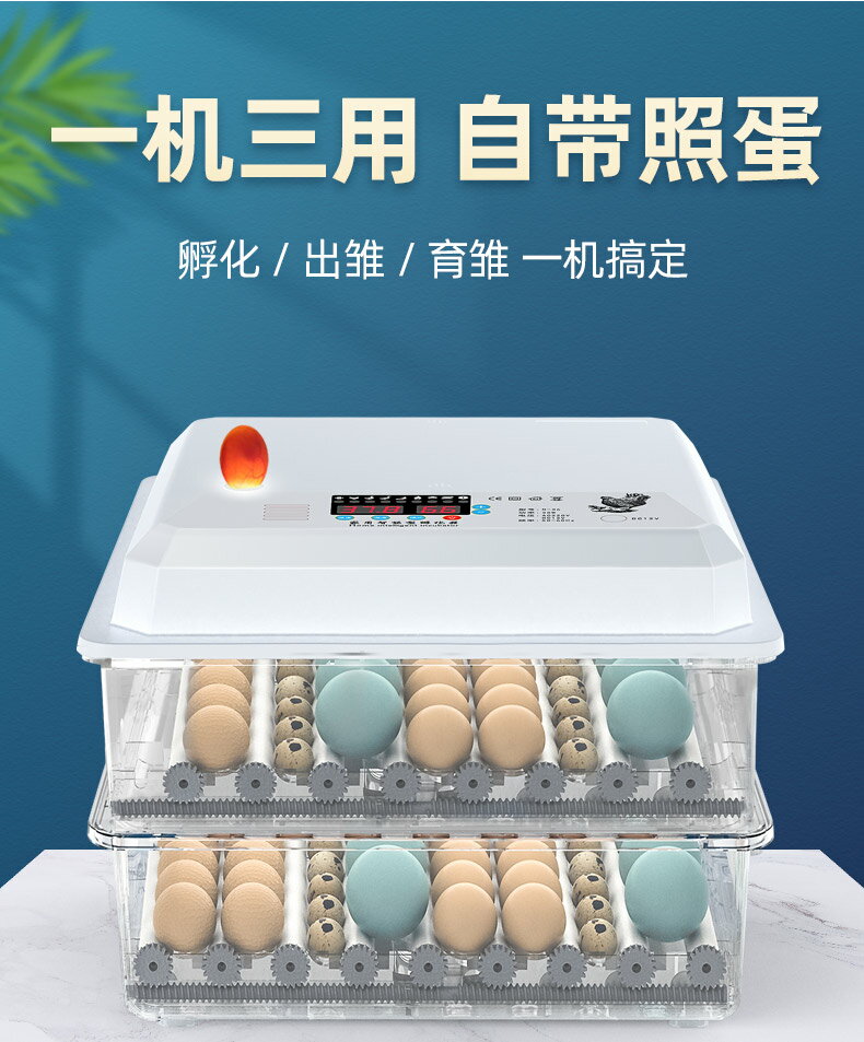 孵化箱小型家用型雞蛋鸚鵡孵蛋器迷你全自動智慧小雞蘆丁雞孵化器110V 森馬先生旗艦店