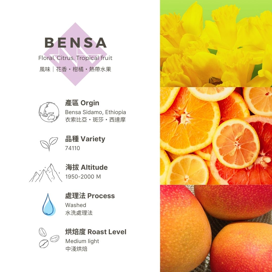 GABEE. BENSA 衣索比亞 西達摩/水洗/中淺焙 單品咖啡豆 150g 2