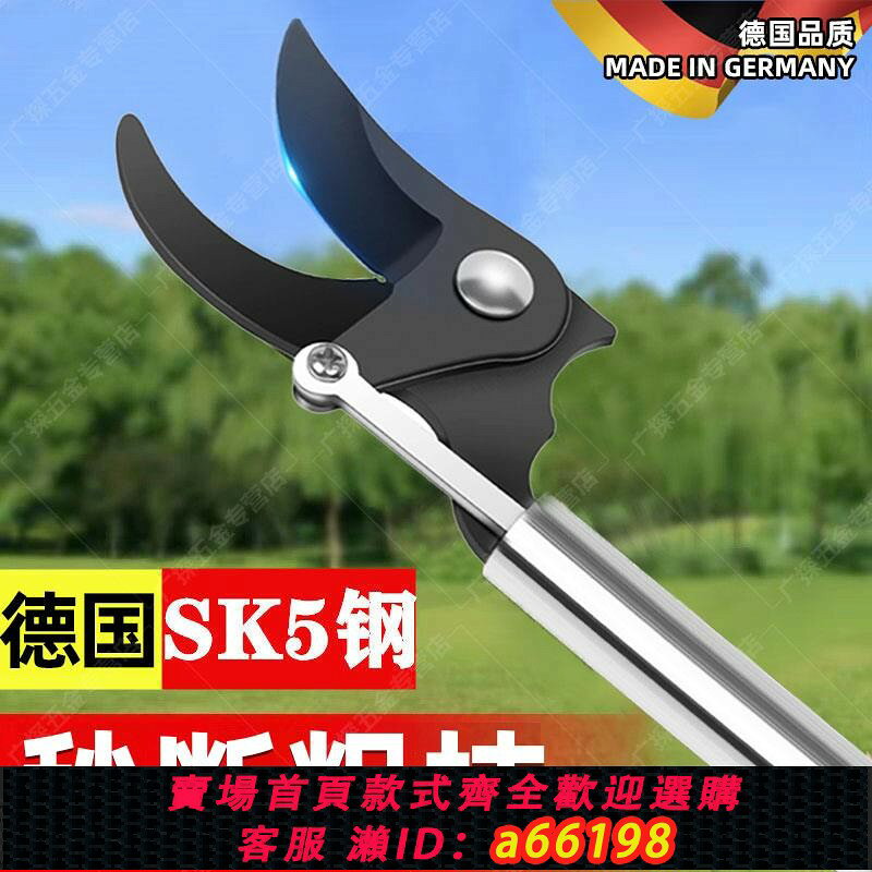 【台灣公司 可開發票】德國精工高枝剪伸縮高空剪樹枝專用剪刀果樹園藝剪加長sk5不銹鋼