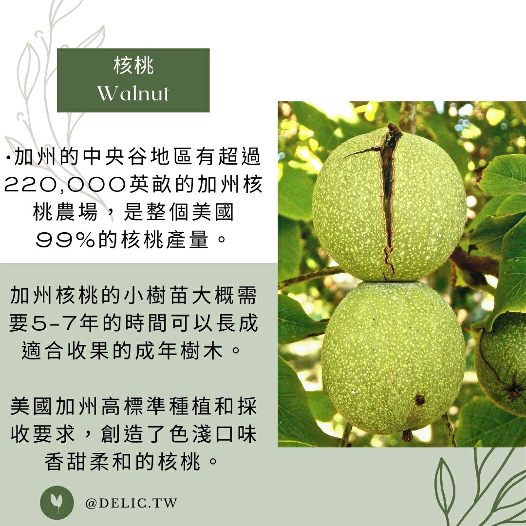 加州陽光帶殼核桃 Walnuts in shell【Delic好食嗑】享受剝殼樂趣，盡享新鮮原味！ 2