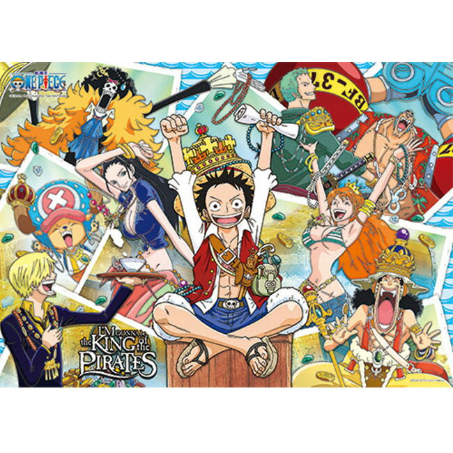 【P2拼圖】海賊王/航海王/ONE PIECE系列-航海王18 (520pcs) HP0520-153