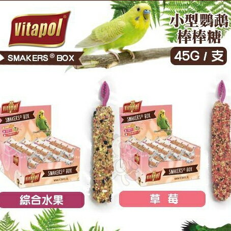 Vitapol 小型鸚鵡棒棒糖 45g 綜合水果｜草莓 小型鸚鵡零食 鳥零食 鳥點心『WANG』