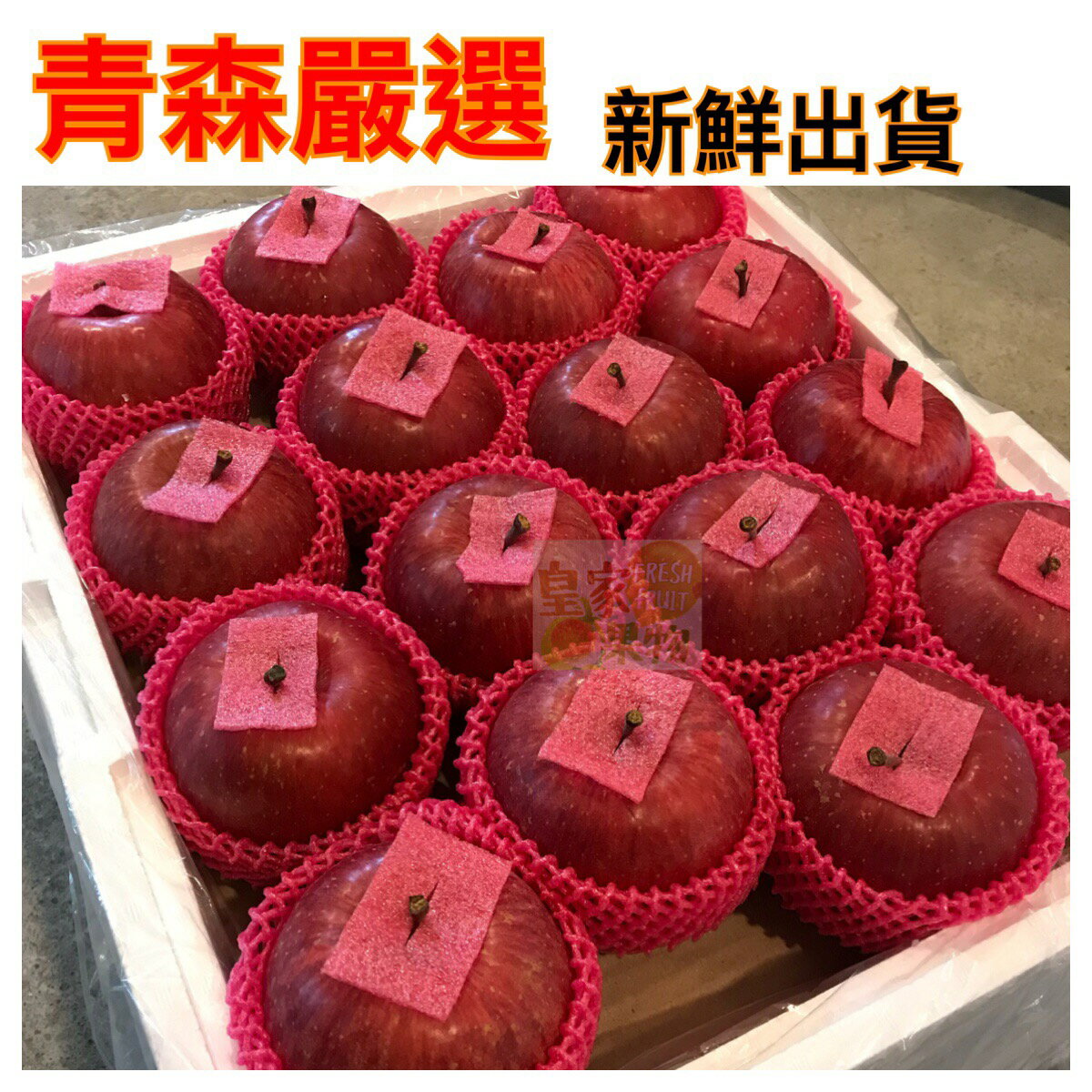 (#26入分裝)日本青森巧克力富士蘋果特大大顆26入原裝/分裝禮盒【皇家果物】低溫免運 1