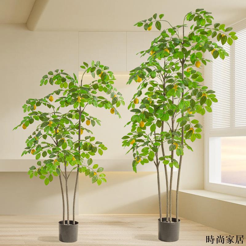 免運 附發票 工廠直銷 模擬樹 模擬擺件 綠植北歐風模擬綠植檸檬樹盆栽擺件室內客廳裝飾假植物盆景假樹模擬樹WW0720