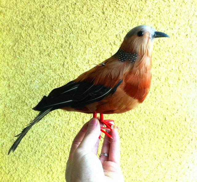 動物模型 模擬斑鳩鴿子信鴿 彩色鳥 羽毛小鳥模擬鳥攝影教科道具