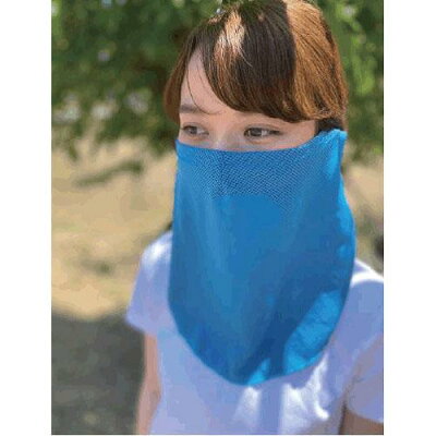 日本進口~涼感 防紫外線 耳掛式 面罩( 附瓶子)(下單前請先詢問出貨天數)