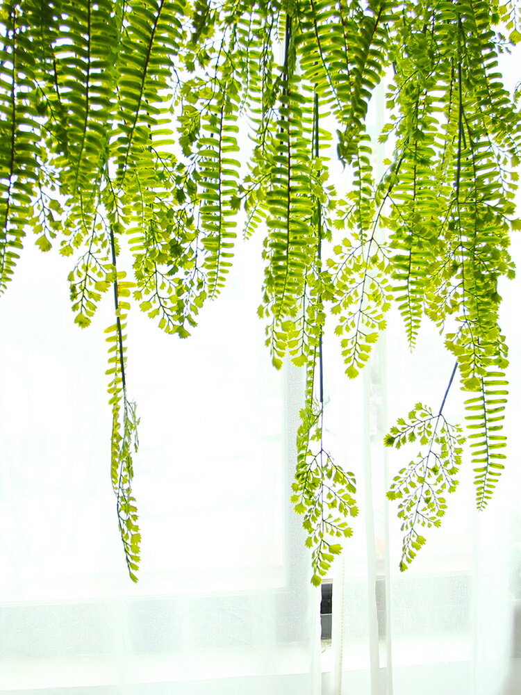 仿真垂吊綠植波斯蕨類植物吊飾懸掛藤條藤蔓吊籃壁掛陽臺櫥窗裝飾