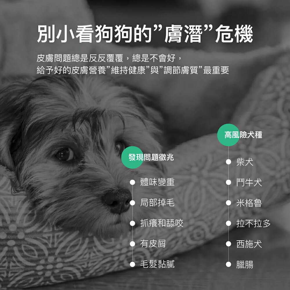 ＵＴＯ｜ 木入森 犬寶膚立好 專業獸醫推薦 2