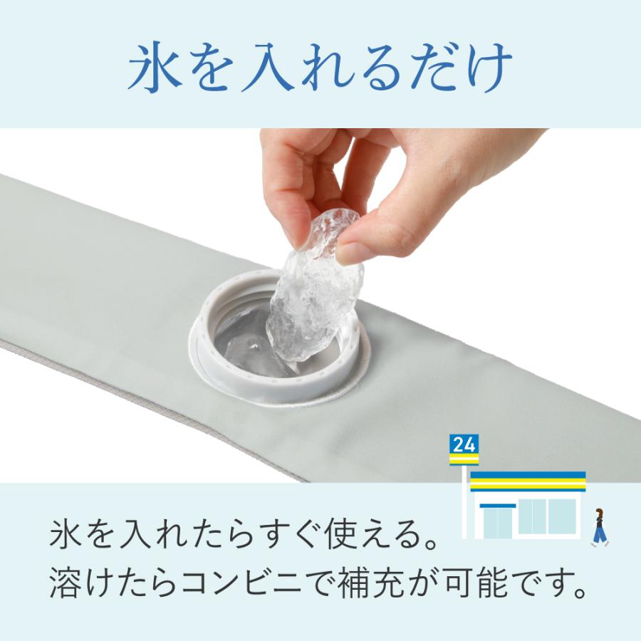 Alphax 可捲式冰袋 常規 夏日對策 夏日必備 降溫 冰袋 棒球 球賽 上學 運動賽事【小福部屋】 4