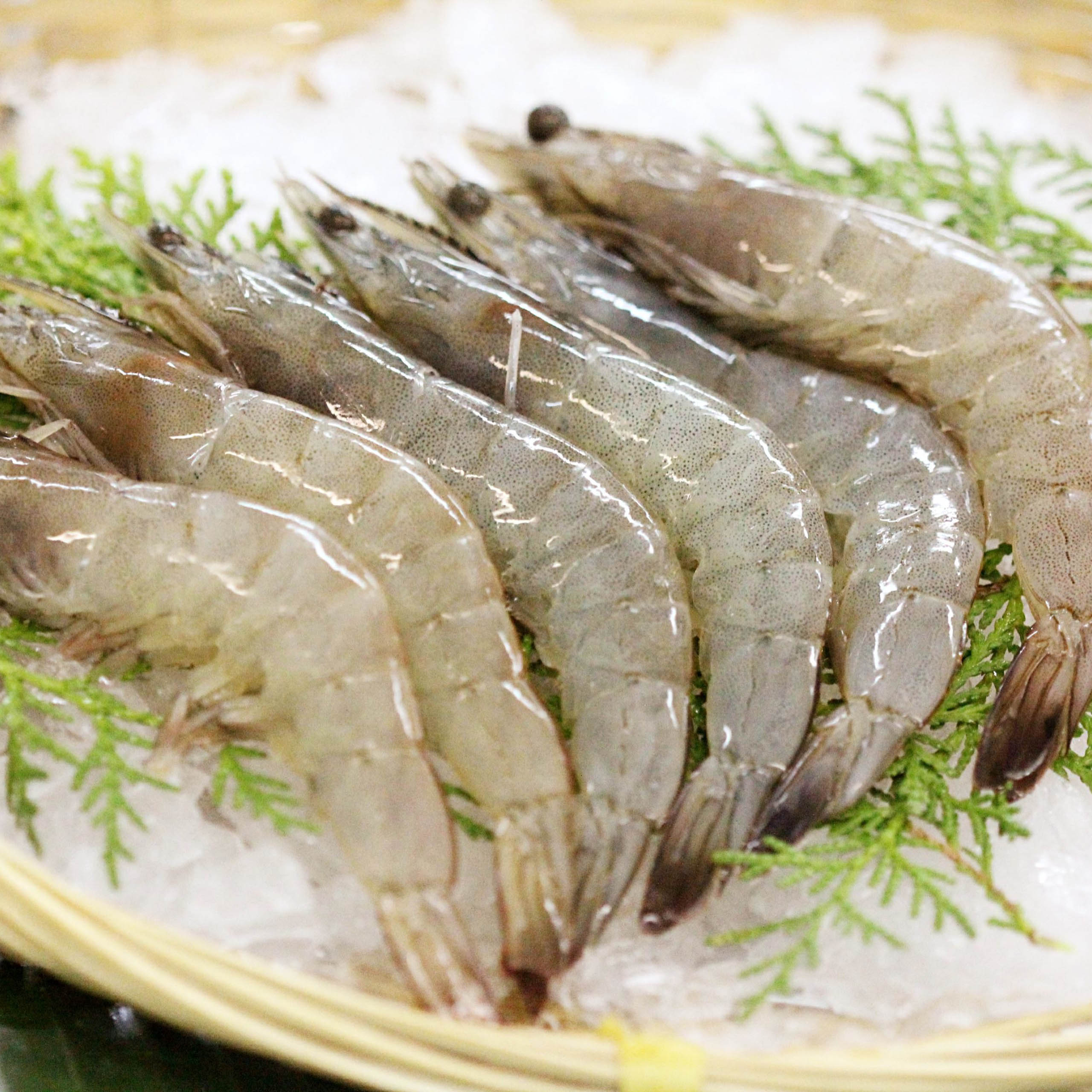 活凍台灣白蝦 14-15隻 (230G±5%/盒)  | 派大鮮
