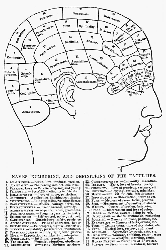 Posterazzi Phrenology 1869 Nan American Phrenological Chart Of 1869