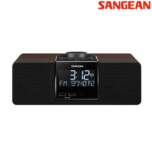 【免運費】SANGEAN山進 WR-6 數位式時鐘收音機 調頻 調幅 藍牙 FM AM Bluetooth WR6