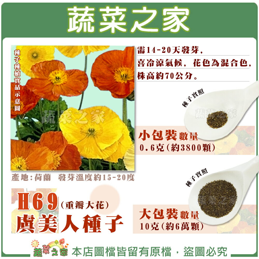 【蔬菜之家】H69.虞美人種子(重瓣大花)(共有2種包裝可選)