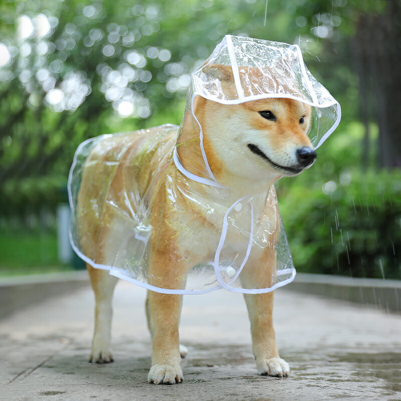 小狗雨衣防水狗狗的泰迪中型小型犬博美寵物雨披柯基雨天衣服全包