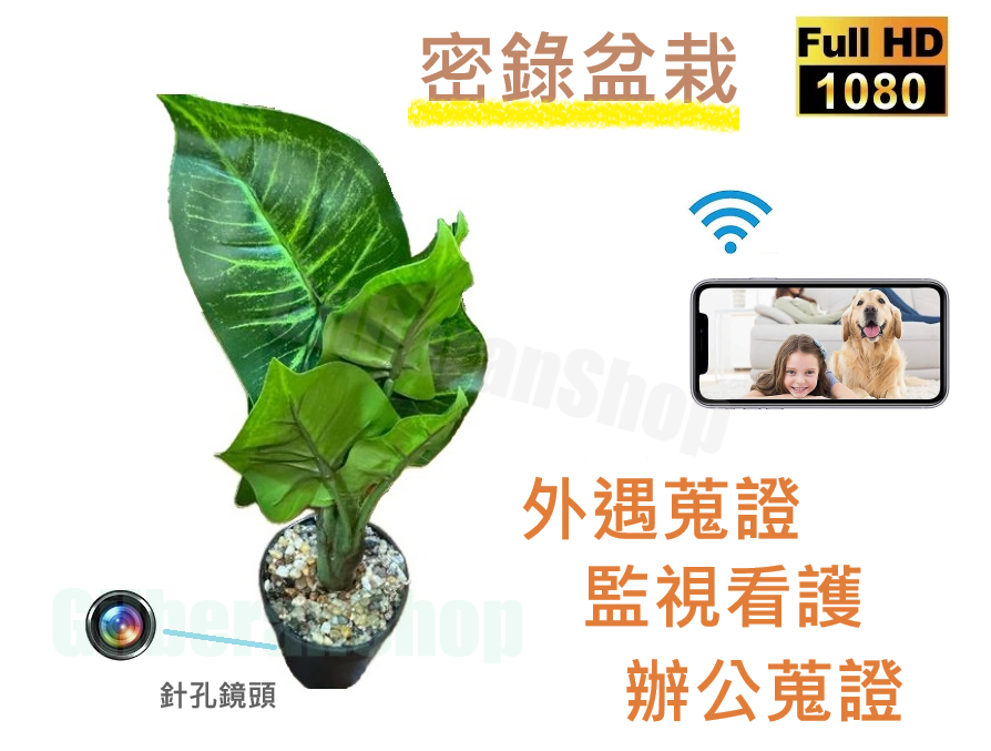 免運 鏡頭 蒐證 外遇 花盆 遠端監控 遠端錄影 帶WIFI熱點 針孔 無線 徵信 密錄花瓶 盆栽 監視 監控