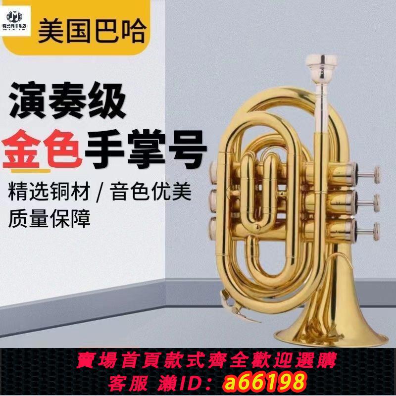 【臺灣公司 可開發票】手掌號 降B調 小號樂器 袖珍小號鍍銀金色 考級演奏