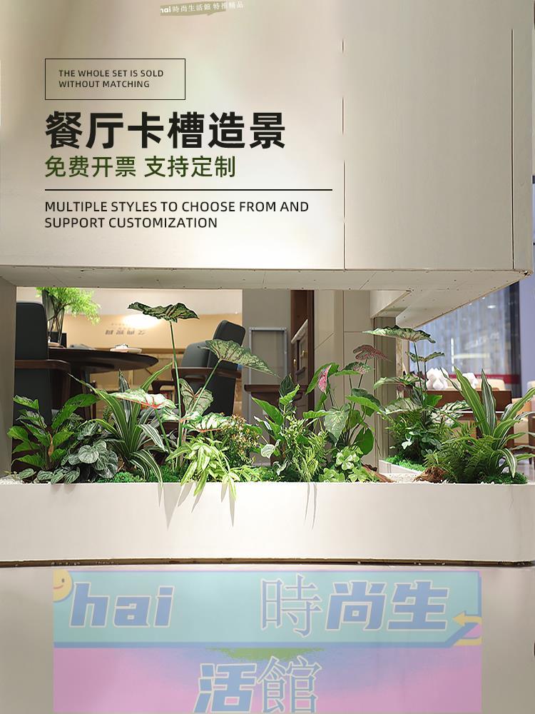 免運 可開發票 高品質模擬綠植餐廳過道卡槽空間造景裝飾商業美陳場景佈置擺件