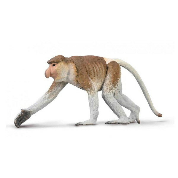 《 COLLECTA 》 動物模型 長鼻猴