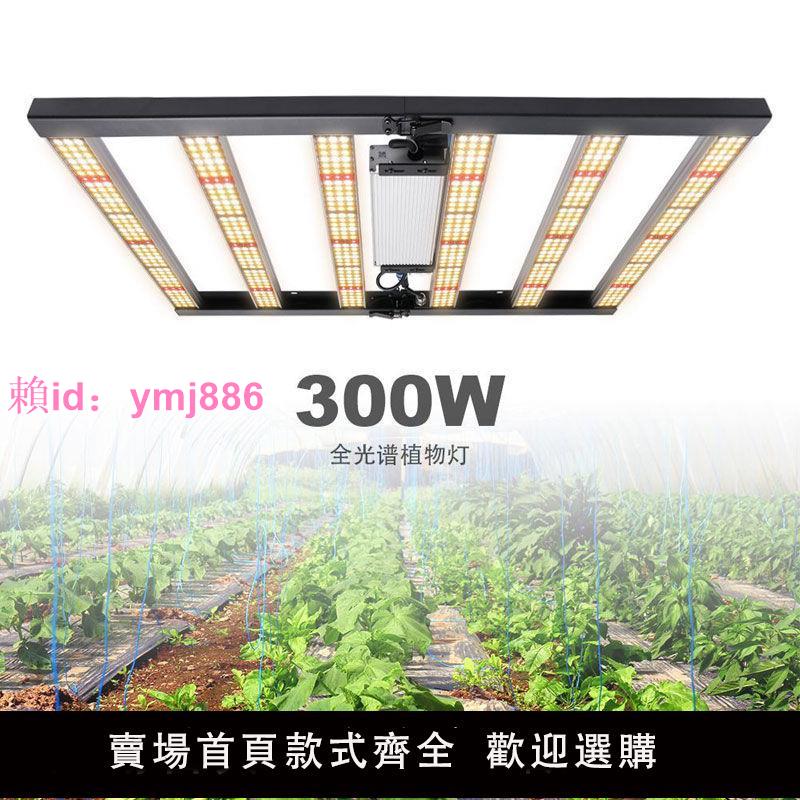 LED光譜植物燈300W可調光適合育苗多肉室內家用大棚種綠植大功率