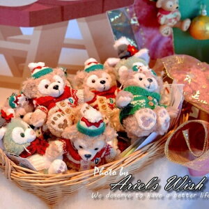 日本東京迪士尼Disney聖誕節Duffy達菲熊雪莉玫畫家貓咪傑拉東尼針織毛衣鈕扣款坐姿吊飾絕版