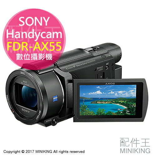 【配件王】日本代購 SONY 索尼 Handycam FDR-AX55 4K 數位攝影機 64GB 勝 FDR-AX40