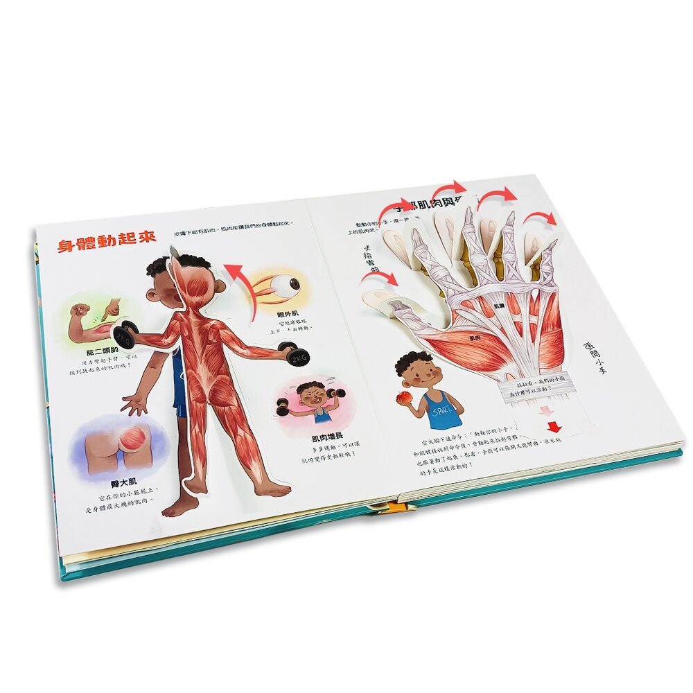 媽媽買 人體立體書 華碩文化 身體原來是這樣＋身體不可思議的祕密 3D互動機關 人體百科 親子共讀 3-8歲 7