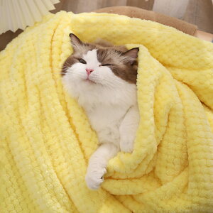 寵物毛毯貓墊子睡覺用被子保暖冬季狗窩毯子秋冬款睡墊狗狗墊子