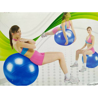 韻律球成功 韻律球 銀色(75cm) S3807 瑜珈專用【大自在運動休閒精品店】