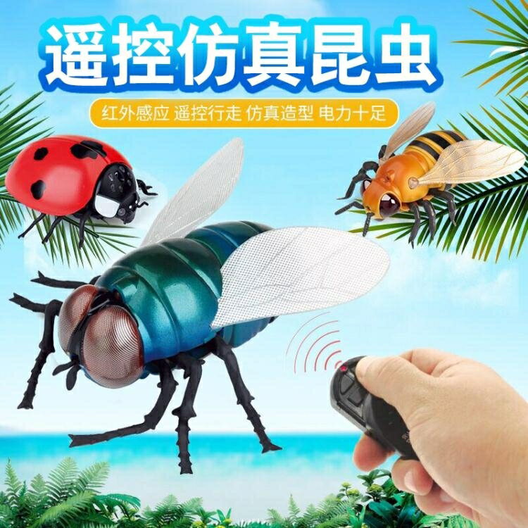 遙控蒼蠅昆蟲動物模型兒童男孩新奇玩具搞怪整蠱禮物仿真瓢蟲 居家物語