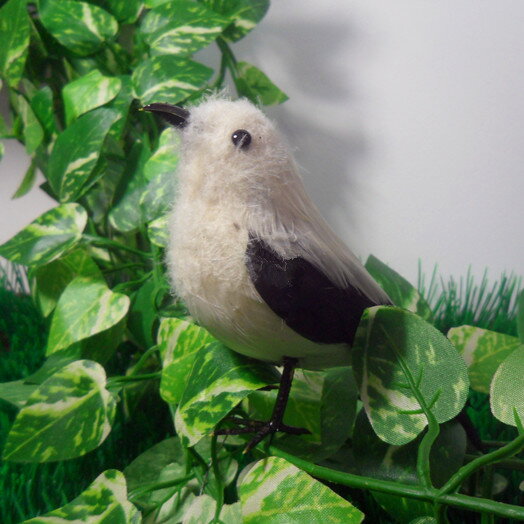 定做各種模擬動物 模擬小鳥 彩色羽毛動物 模擬鳥模型