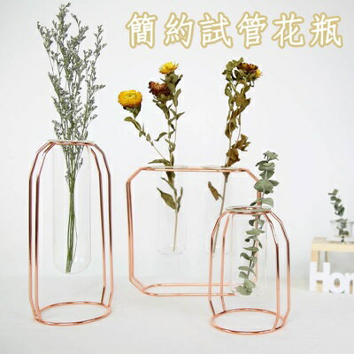 花瓶 插花器-簡約玻璃試管創意幾何金屬擺飾3款73pp586【獨家進口】【米蘭精品】