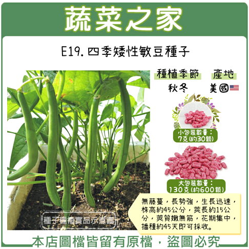 蔬菜之家 E19 四季矮性敏豆種子 共有2種包裝可選 蔬菜之家直營店 樂天市場rakuten 蔬菜之家 E19 四季矮性敏豆種子 共有2種包裝可選 蔬菜之家直營店 樂天市場rakuten