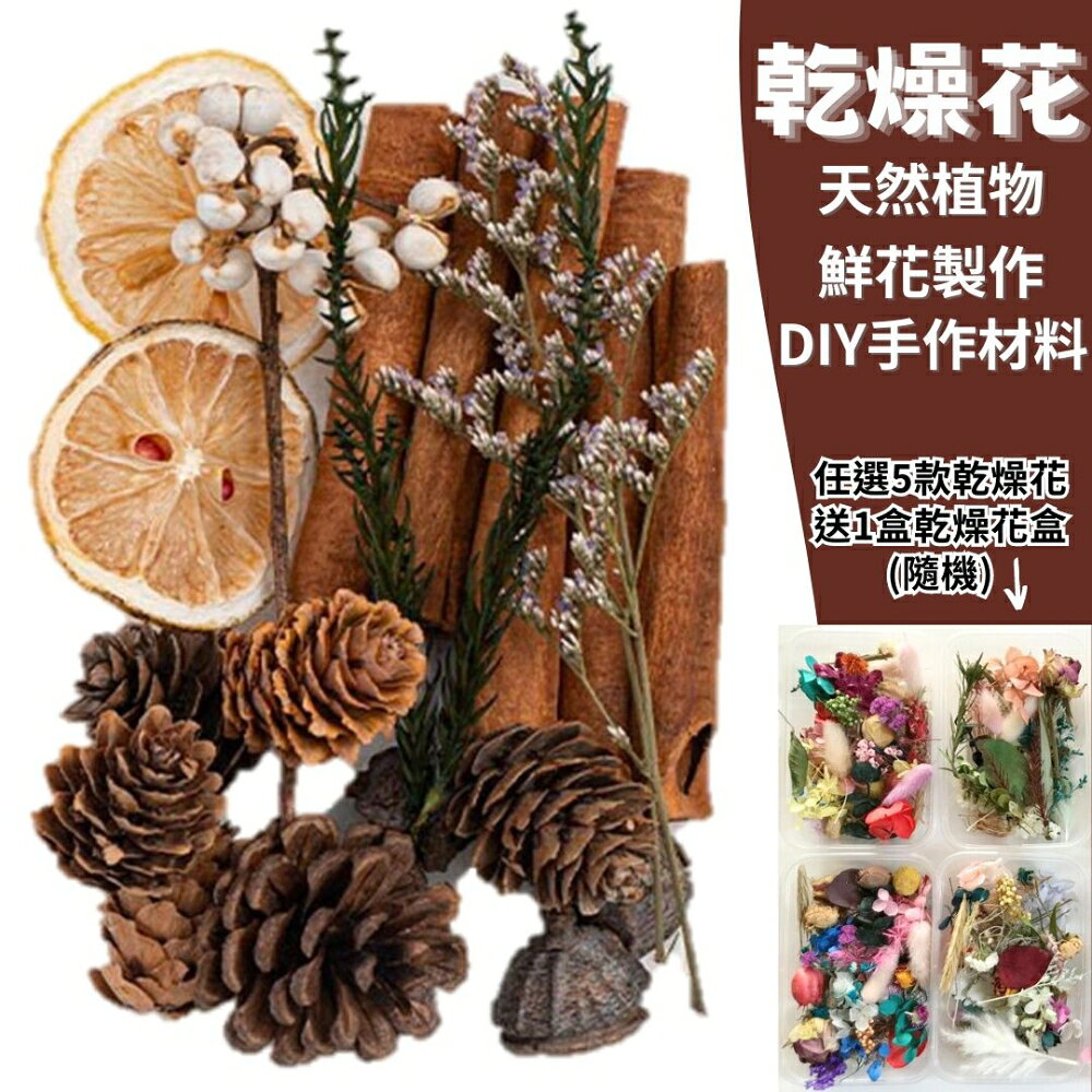【A-ONE】綜合乾果盒A 花材 乾燥松果 乾燥花果 DIY浮游花 永生花 卡斯比雅 拍照道具 B16