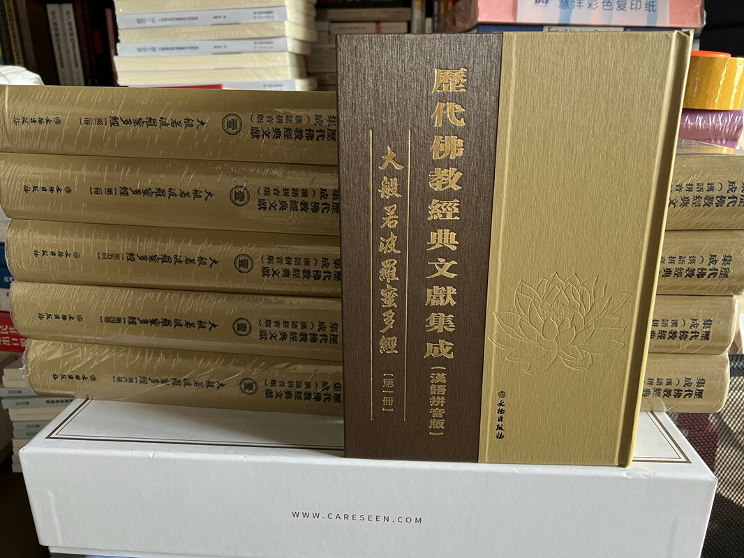 【台灣公司 可開發票】大般若波羅蜜多經 大般若經600卷拼音10冊精裝 歷代佛教經典集成正版 1