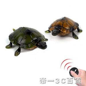仿真遙控烏龜玩具電動充電海龜模型兒童送禮物整蠱嚇人新奇的玩具 交換禮物