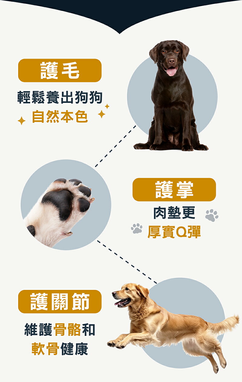 柏萊富天然寵糧【極鮮無穀 低敏挑嘴配方-鮭魚+豌豆】4.5磅/10磅  新包裝 0%穀類-低敏易消化 全齡犬種適用 2