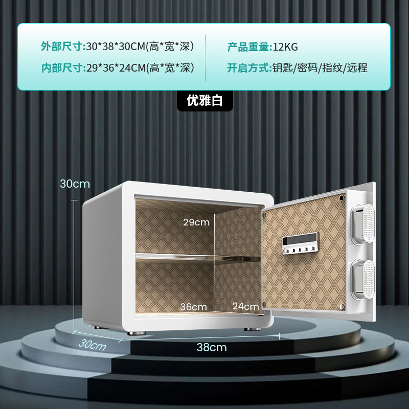 德國進口保險櫃家用小型保險箱30CM官方旗艦正品辦公室密碼指紋wi