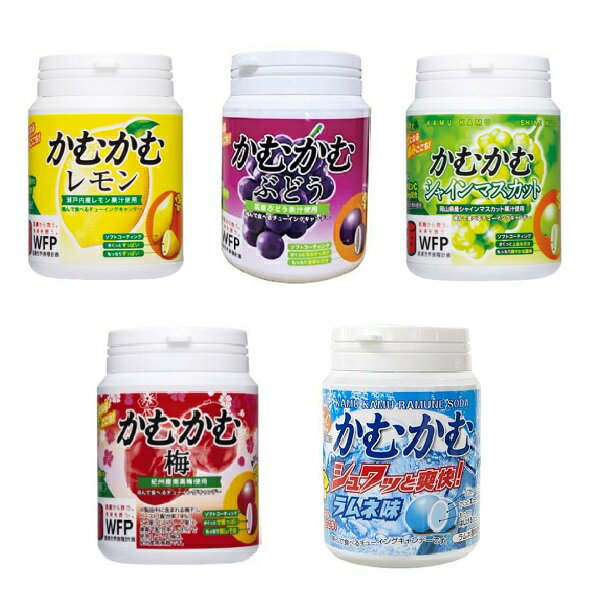 【江戶物語】KAMU   三菱 明治產業 咖姆卡姆糖球 麝香葡萄 草莓 檸檬 巨峰葡萄 梅子 柑橘 嚼糖 硬糖 日本進口