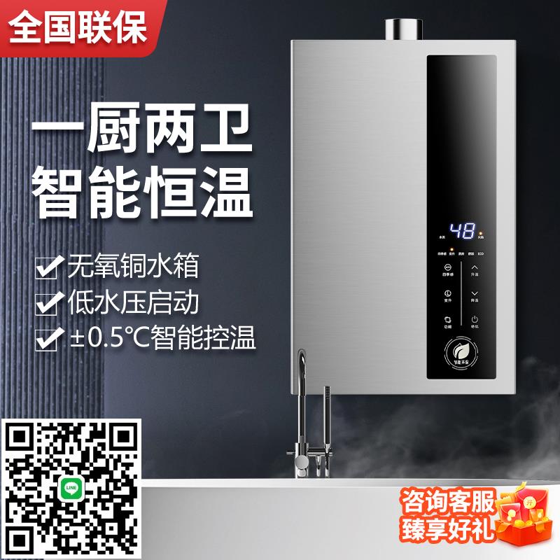 阿拉好太太燃氣熱水器家用天然氣煤氣液化氣強排平衡式燃氣款16L