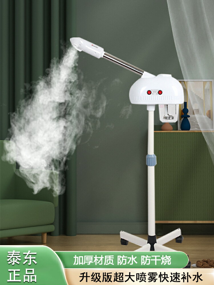 Snowbelle優選??泰東冷熱噴霧機美容儀美容院熱噴蒸臉器冷熱雙噴臉部補水療儀家用