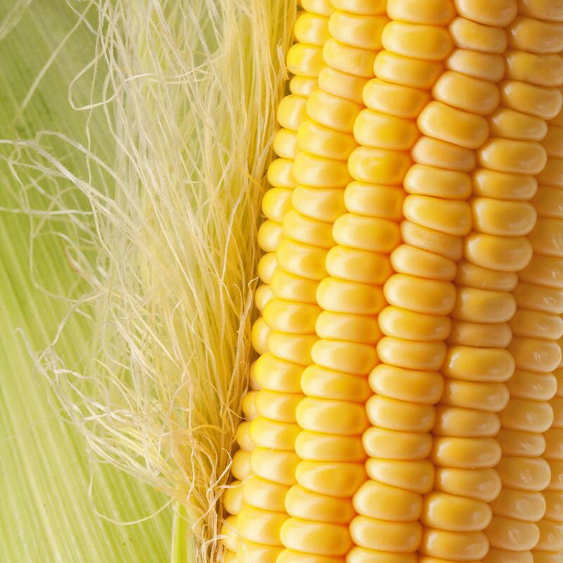 《 Chara 微百貨 》附發票 韓國 綠茶園 獨有 玉米鬚茶 茶包 50入100入 玉米鬚 茶 健康 順口 4