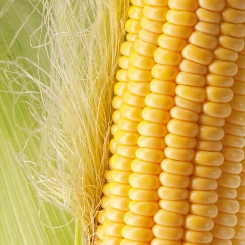 《 Chara 微百貨 》附發票 韓國 綠茶園 獨有 玉米鬚茶 茶包 50入100入 玉米鬚 茶 健康 順口 4