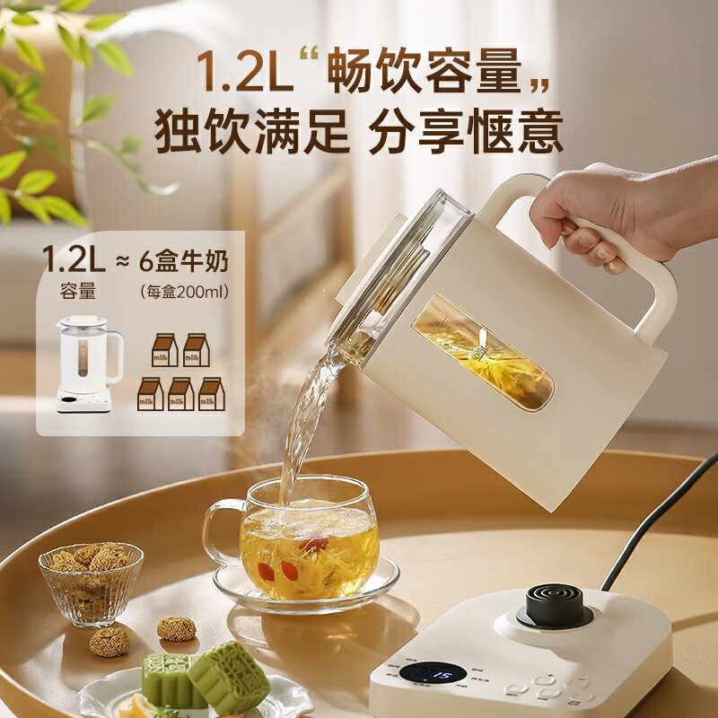 110V養生壺多功能小型花茶壺美國日本加拿大出口家用燒水壺保溫