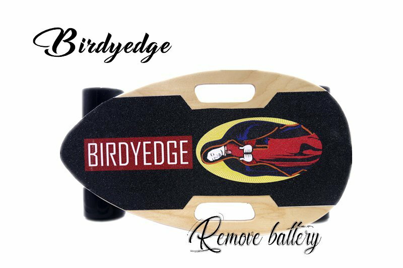 BIRDYEDGE SMALL  可拆卸 戰士原木色配色 電動滑板   單驅動可換胎皮 4