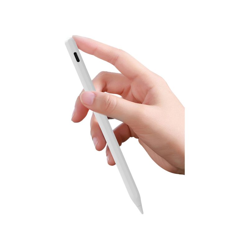 Stylus Pen C12 iPad 專用雙模充電觸控筆(Type-C+無線) 磁吸觸控筆 主動式電容筆 防誤觸觸控筆 手寫筆