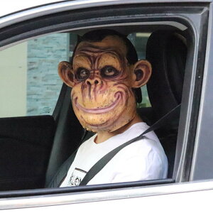 猩猩面具搞怪綠頭魚頭套大猩猩猴子驢馬頭套抖音搞笑搞怪動物面具