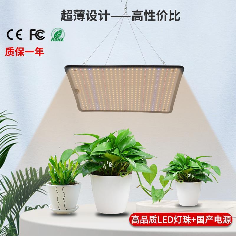 100W大功率植物燈 全光譜燈 量子板燈 led植物燈 溫室大棚蔬菜 瓜果花卉 多肉植物生長燈 LED仿太陽植物生長燈