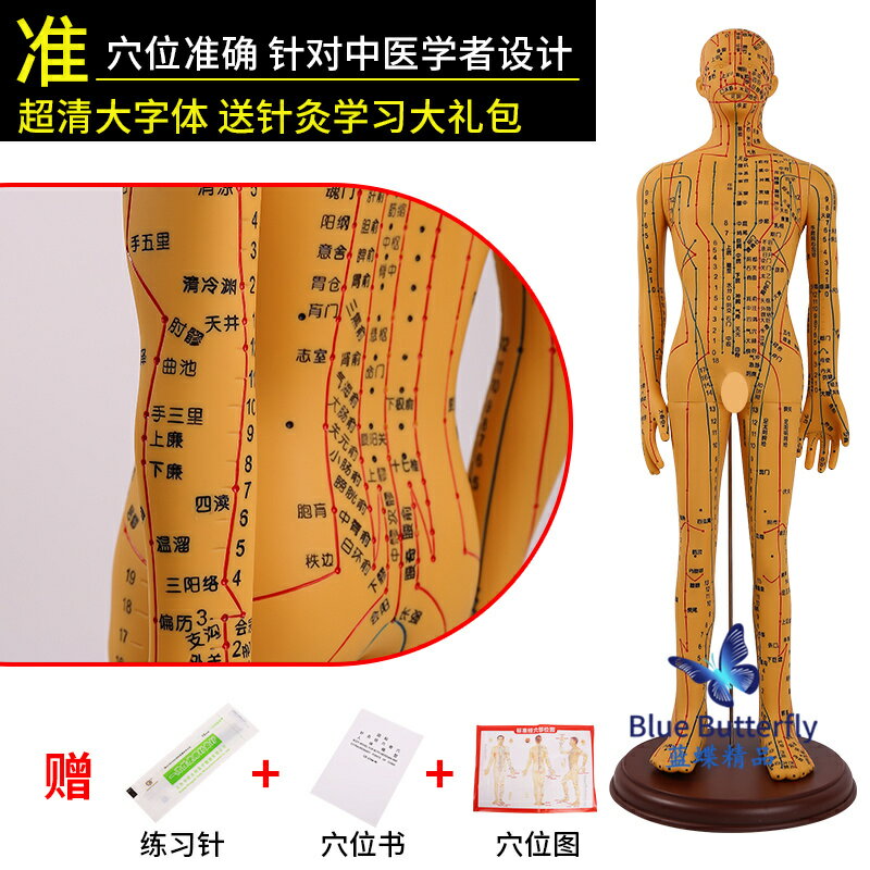{可打統編 保固一年}針灸人體模型醫用扎針練習小皮人十二經絡穴位圖模特軟膠扎針練習 5