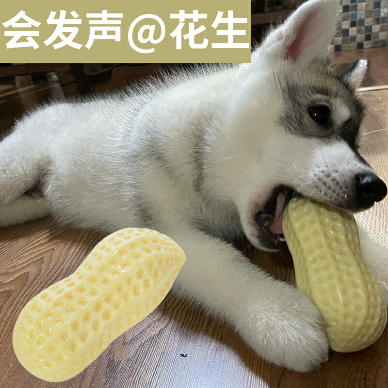 狗狗玩具耐咬磨牙發聲花生中型犬柯基法鬥狗解悶神器大型犬逗狗球