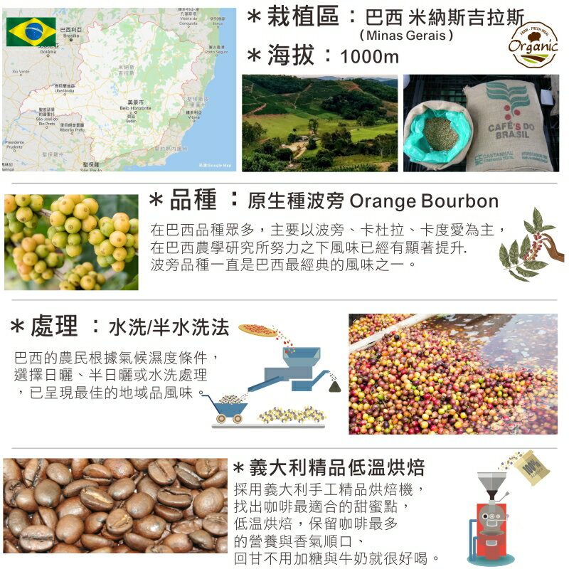 巴西國寶極品濾掛咖啡  Brasil Bourbon Santos | DALLYN世界嚴選莊園 ★滿299元超取免運 , 滿1500元店家宅配免運★ 4